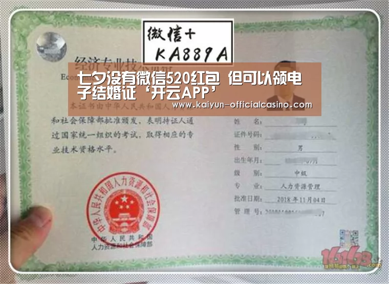 开云平台