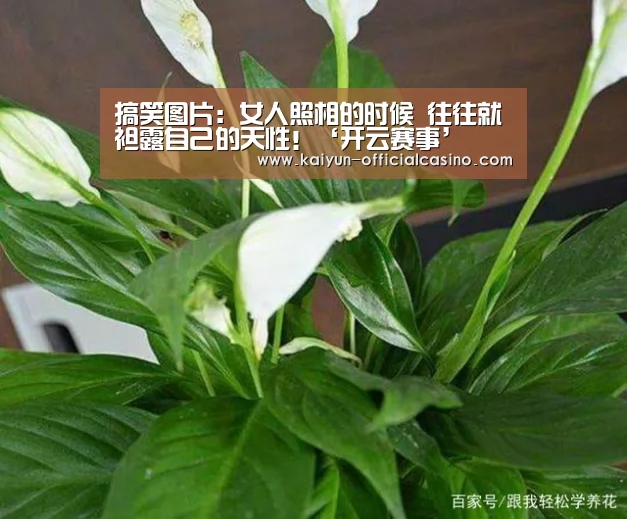 搞笑图片:女人照相的时候 往往就袒露自己的天性!‘开云赛事’(图3) 开云APP